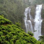 2 Days Murchison Falls