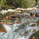 3 Days Gombe Streams Tour