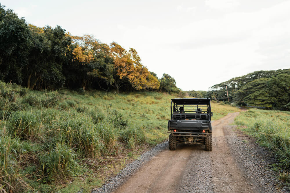 Game Drives in Tsavo East