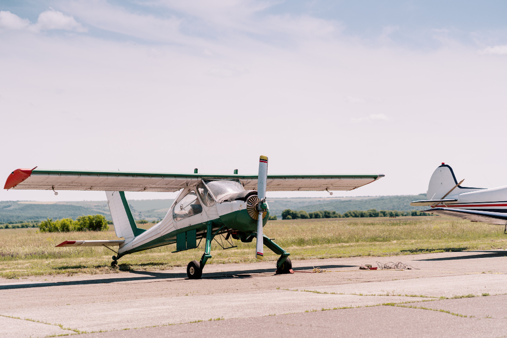 4 days Fly-In Safaris